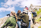 Field course Students studying seabird behaviour
