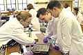 Laboratory practical Students working in the lab