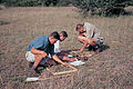 Field course in the Algarve, Portugal Students examining plant biodiversity