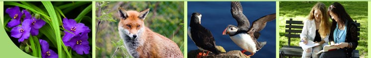 Looking for a cereer in Ecology and Conservation? Contact us now