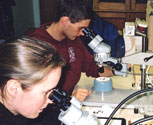 Students Working