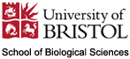 University of Bristol School of Biological Sciences