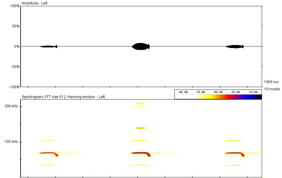 waveform and spectrogram