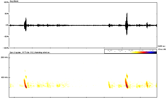 waveform and spectrogram