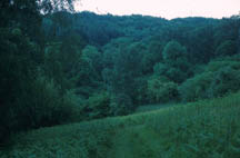 Habitat: wooded river valleys