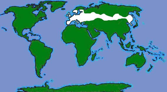 World distribution of Daubenton's bat