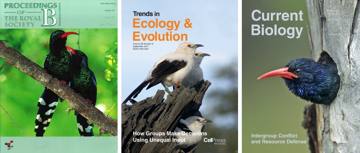 Front covers