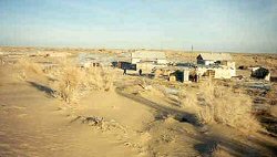 Southern Kazakhstan: a harsh environment for parasites