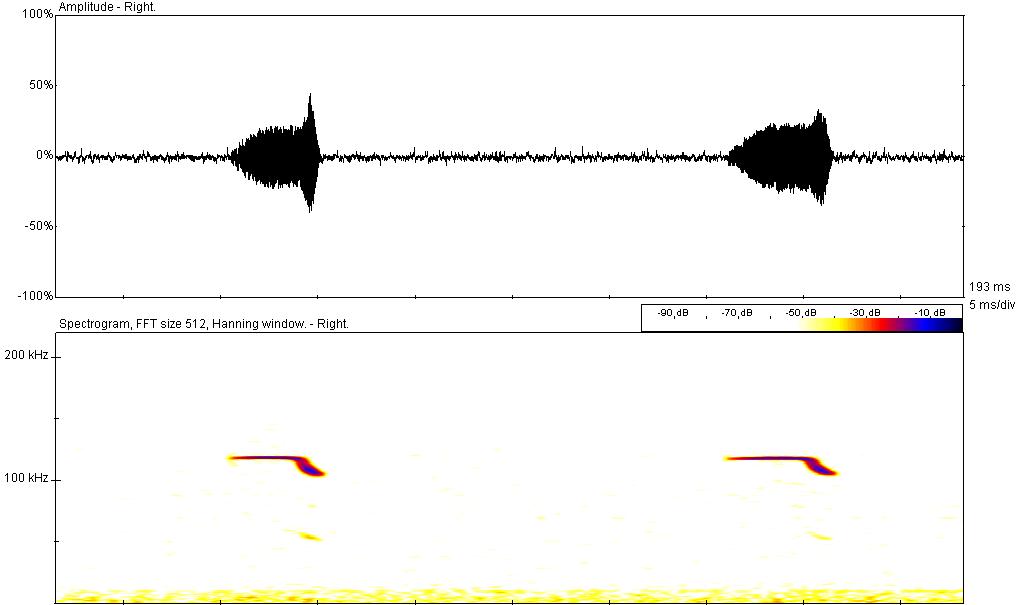 waveform and spectrogram