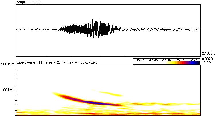 waveform and spectrogram