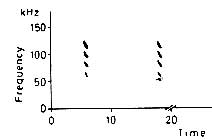 spectrogram