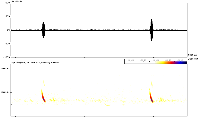 waveform and spectrogram