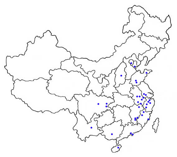 distribution of M. ricketti