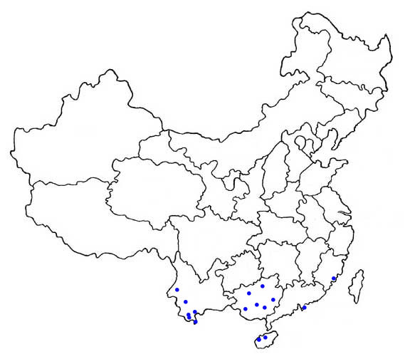 distribution