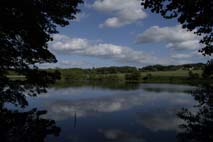 Still lake habitat