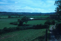 Pasture habitat