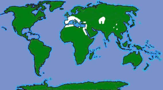 World distribution of the grey long-eared bat