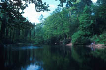 Lake habitat