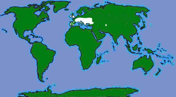 World distribution of Leisler's bat