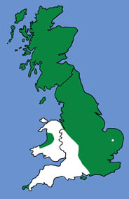 British distribution of lesser horseshoe bats
