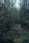 Woodland edge and pasture habitat