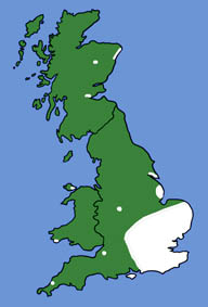 British distribution of Nathusius' pipistrelles