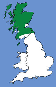 British distribution of noctules