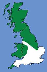 British distribution of the serotine 