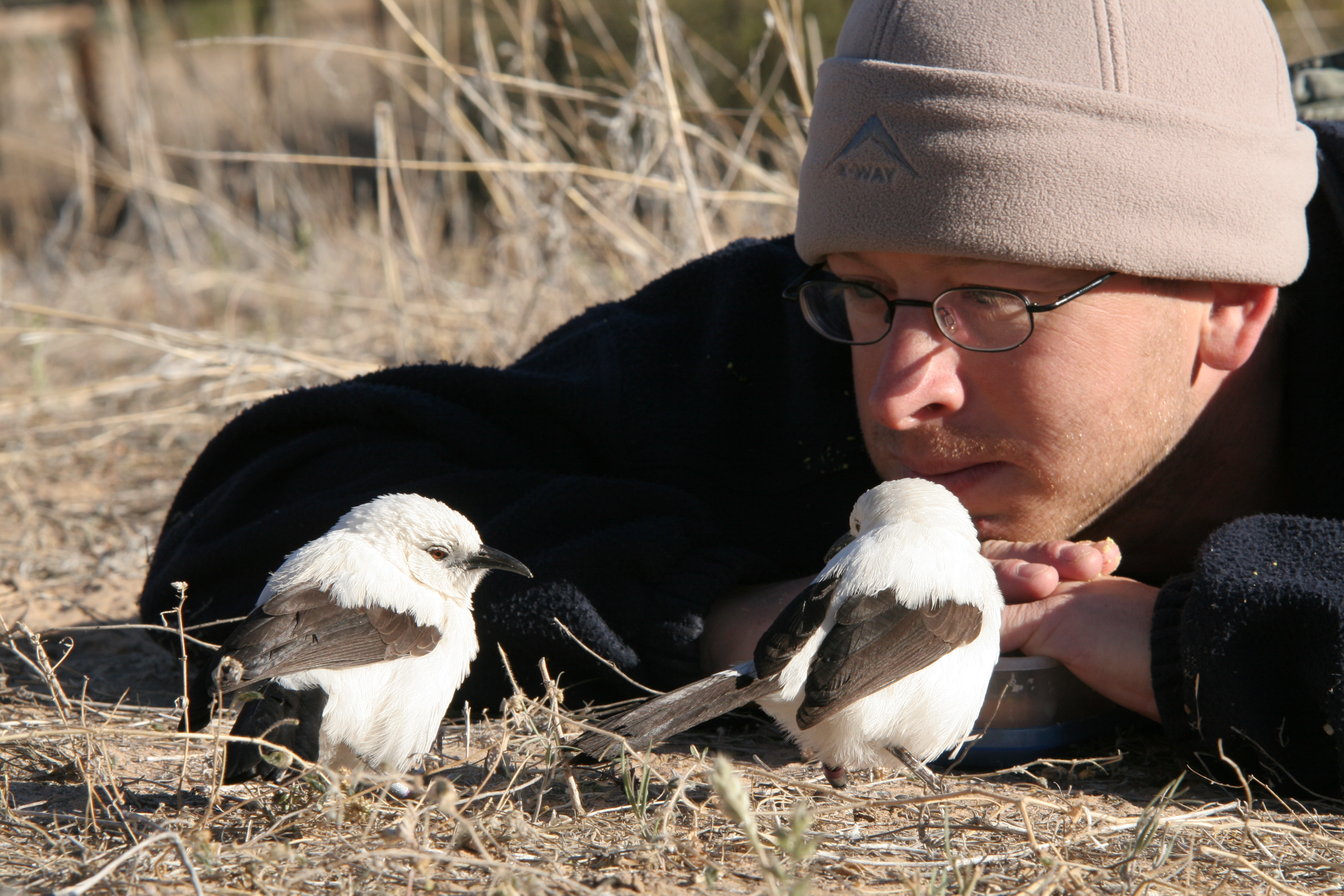 Image of Prof. Andy Radford