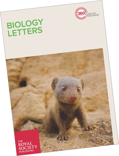 Trumpetfish Proceeding B front cover