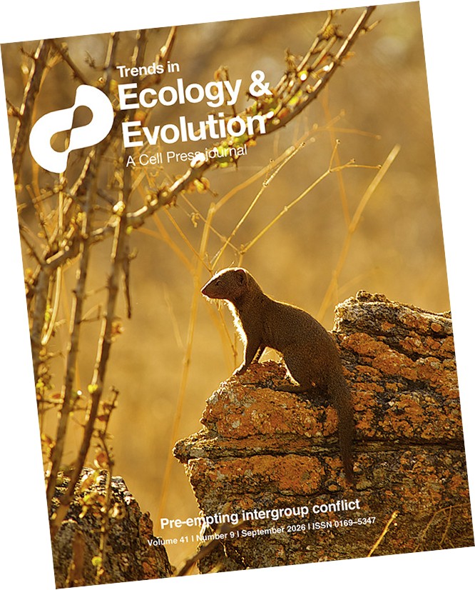 Mongoose TREE front cover